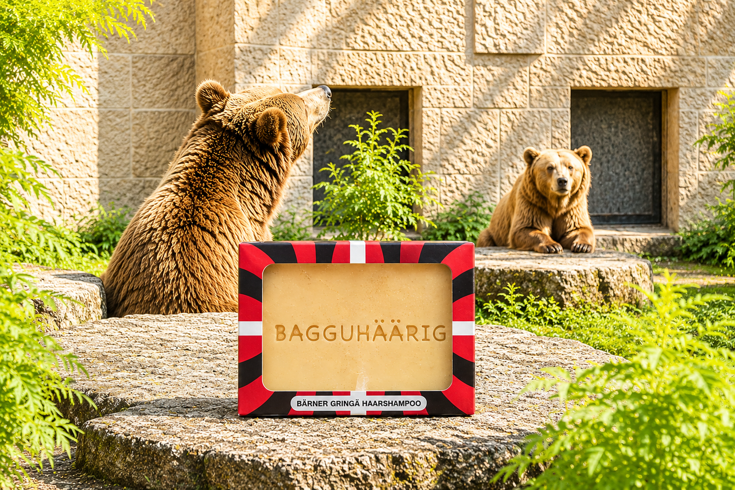 Shampoing solide Bagguhäärig pour têtes bernoises