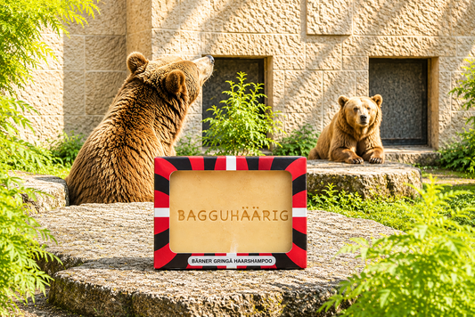 Shampoing solide Bagguhäärig pour têtes bernoises