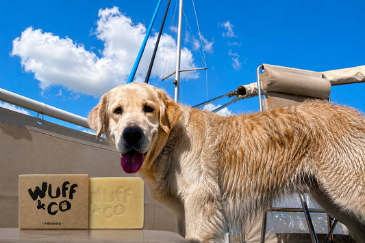 🐶 Fellseife Captain Finn - Paws Aboard